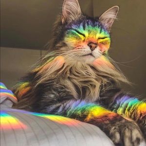 Meet your Posher, Ava